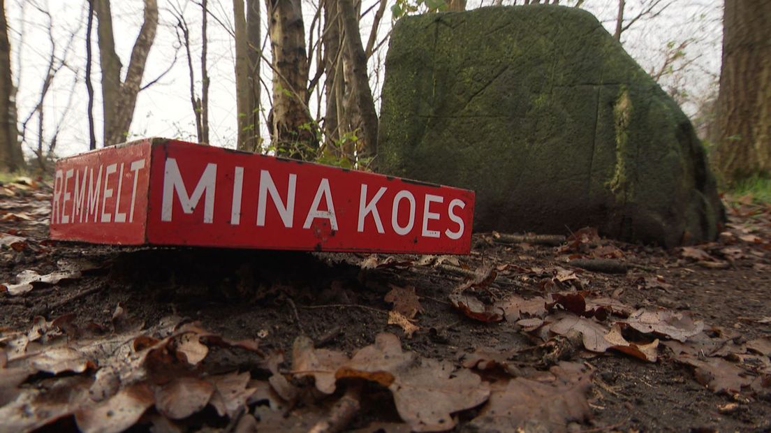 Een gedenksteen en een bordje met een liedtekst markeren de plek waar Mina Koes in 1881 werd vermoord (Rechten: RTV Drenthe)