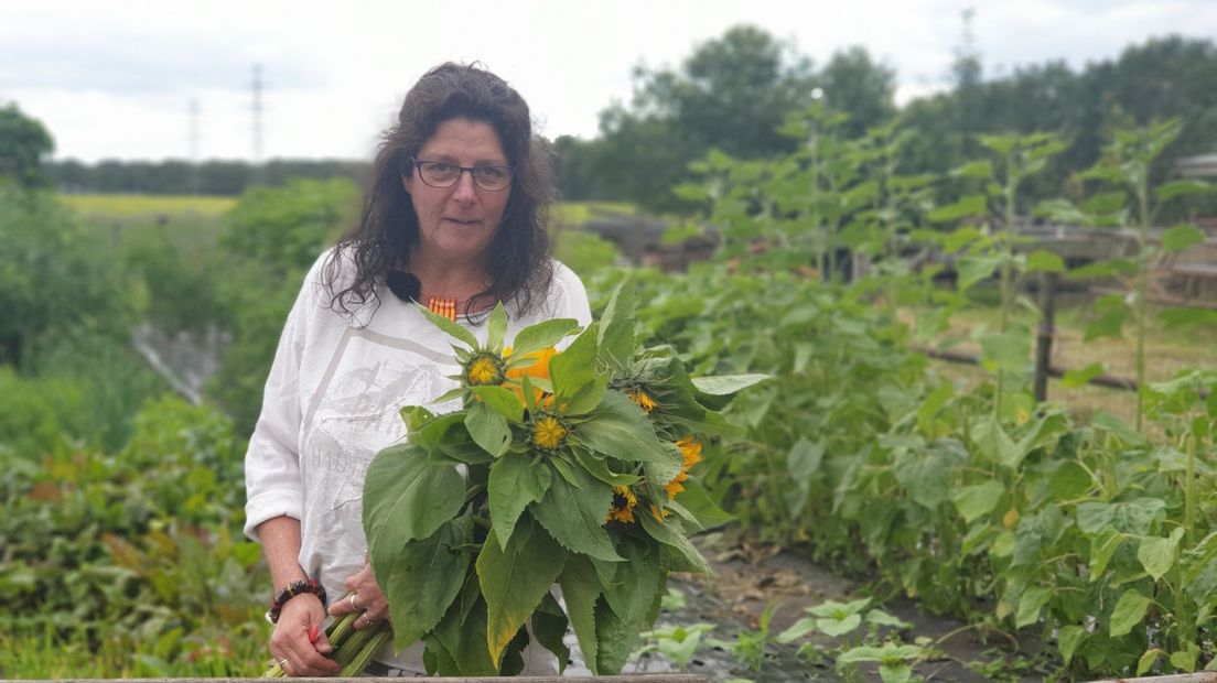 Wilma Joling fleurt Nederland op met haar zonnebloemen