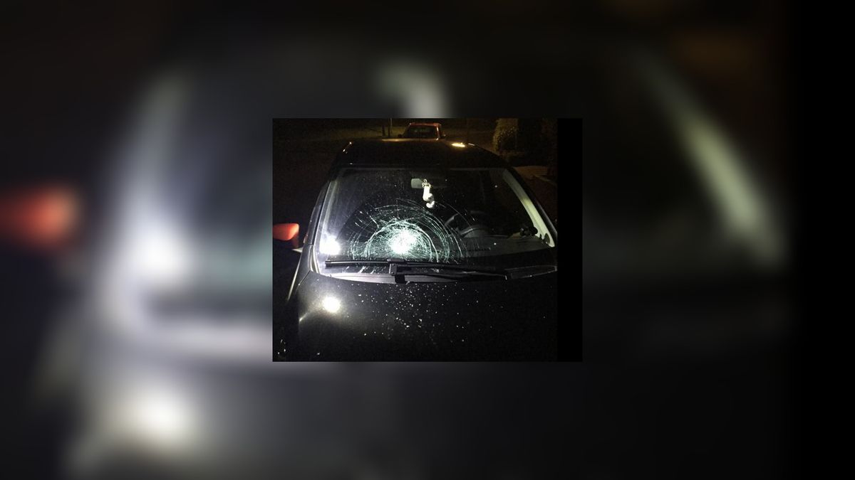 Vier auto's vernield in Leeuwarder wijk Camminghaburen