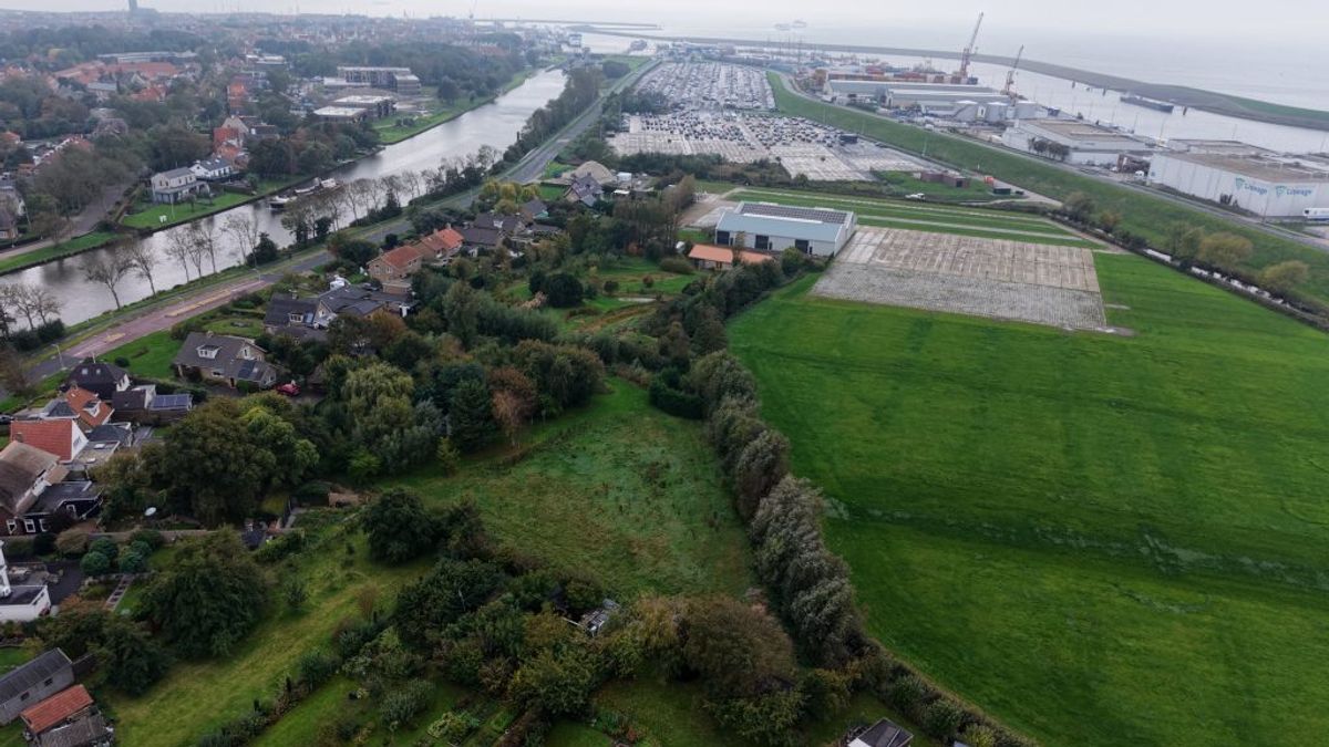 Moet vlindertuin plaatsmaken voor parkeerterrein Harlingen? 