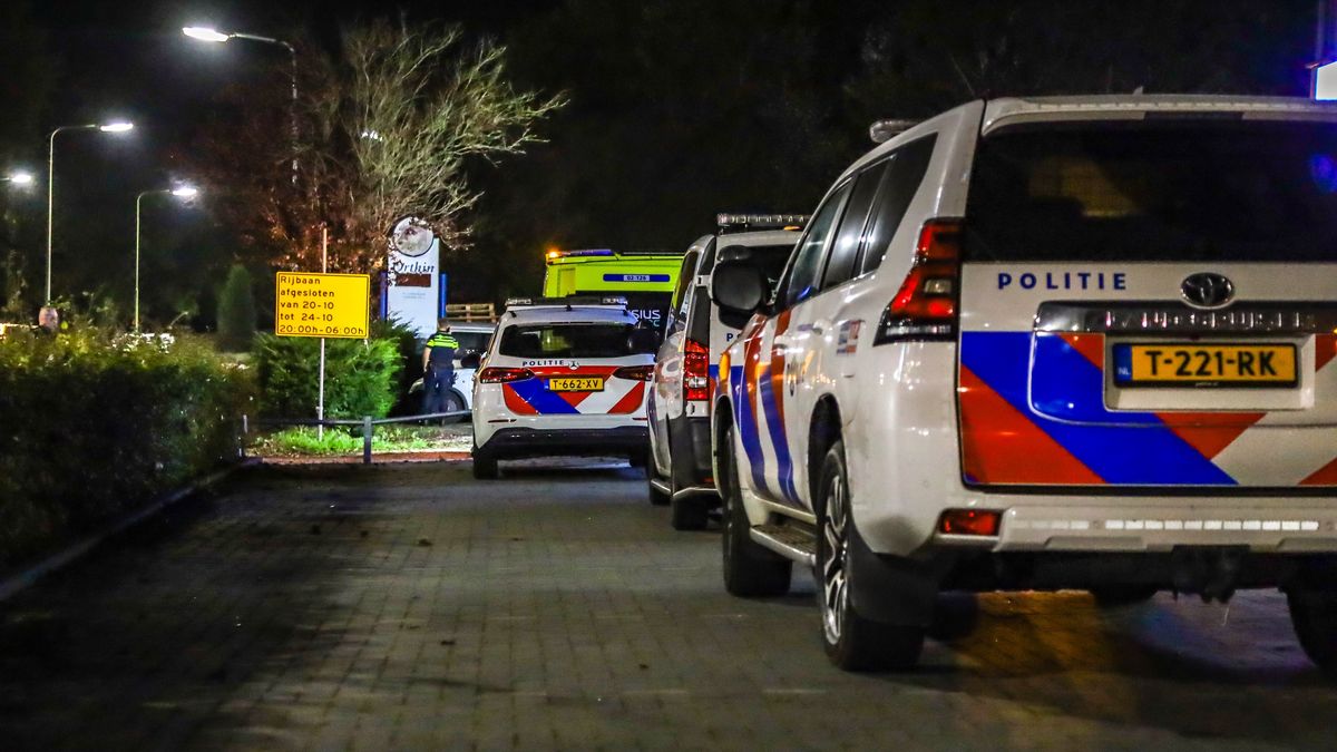 Politie schiet twee keer en gebruikt stroomstootwapen bij aanhouding in Drachten