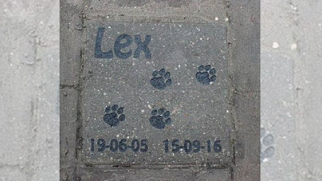 De gedenksteen voor overleden poes Lex