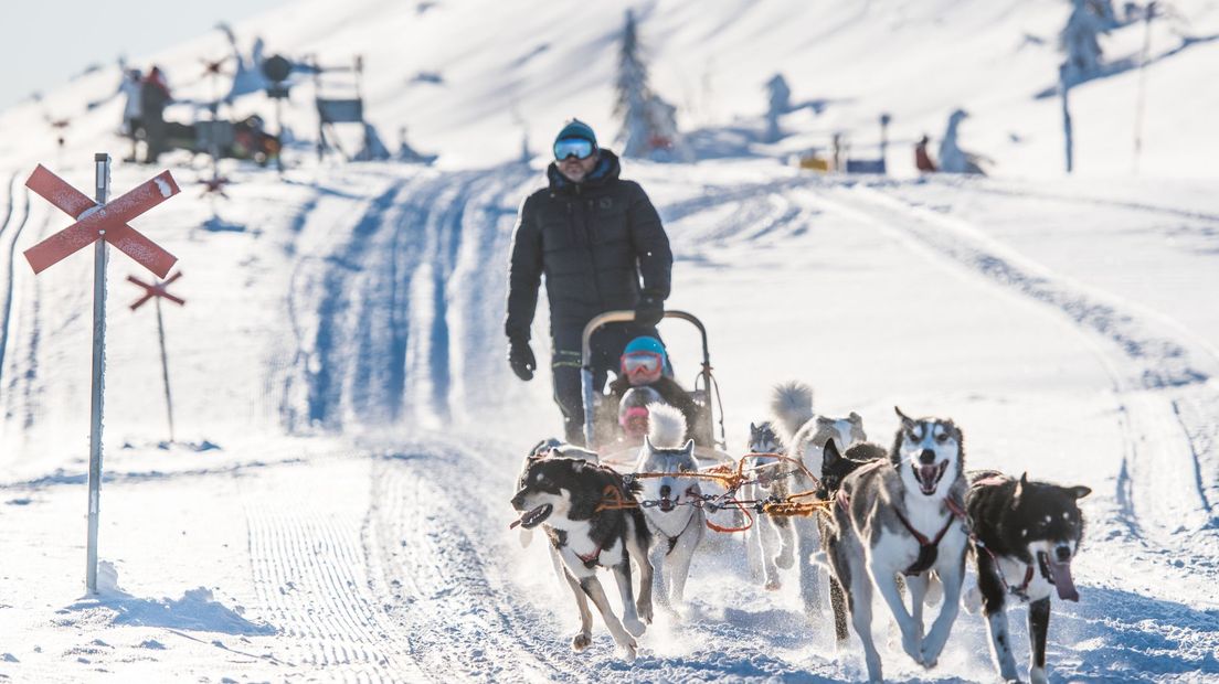 Pas volgend jaar vanaf Eelde op wintersport naar Zweden (Rechten: BBI-Travel)