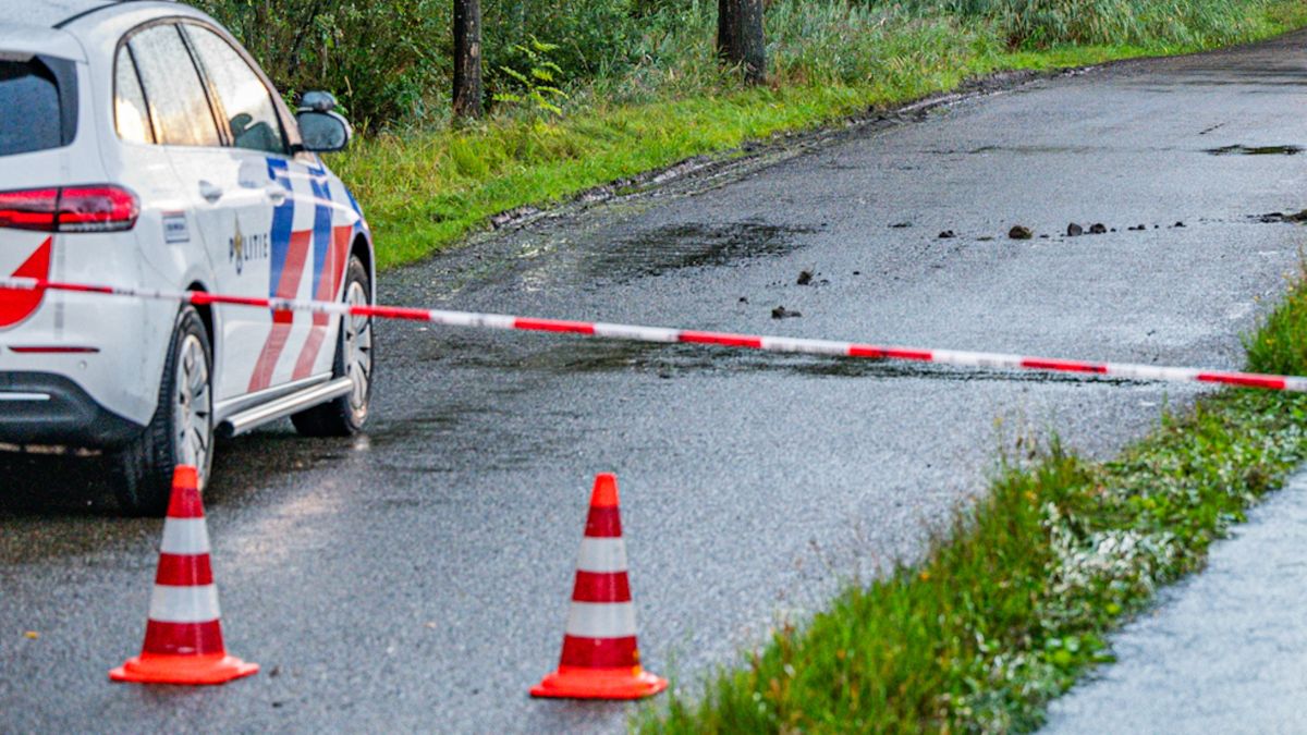 Voetganger (62) overleden na aanrijding met auto bij Jistrum
