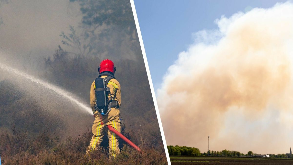 Veiligheidsregio: 'Mogelijke brandgeur in delen van Zeeland door branden in Oirschot en Weert'