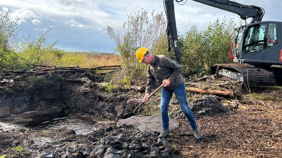 Lekkage in Twents hoogveen wordt aangepakt: 'Miljoenen liters water verloren' Home