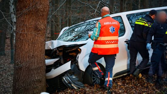 Busje tegen boom, bestuurder naar ziekenhuis