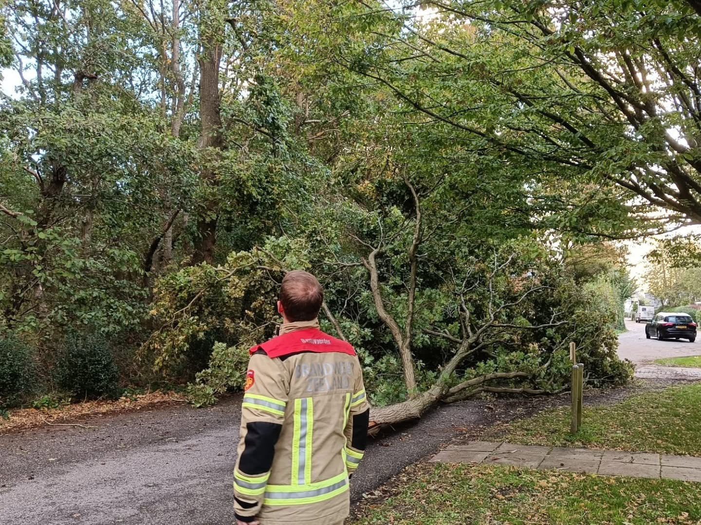Omgewaaide bomen en takken op de weg • Genieten van golven aan de kust