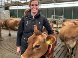 Boerin Maike zoekt kansen voor haar melkveebedrijf: welke koe is het meest geschikt?