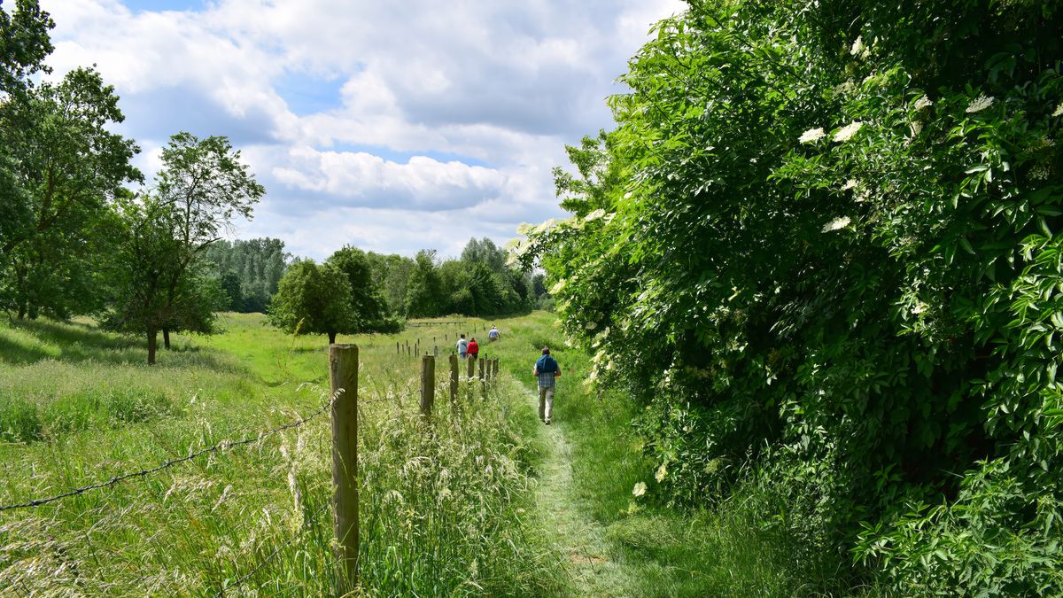 Boeren verliezen strijd om afgesloten fietspaden in De Lutte