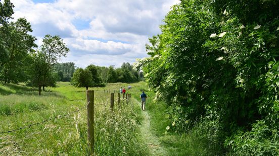 Boeren verliezen strijd om afgesloten fietspaden in De Lutte Nieuws