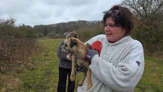Brandweer en hondenzoekgroep ingezet nadat hond verdwijnt in vossenhol