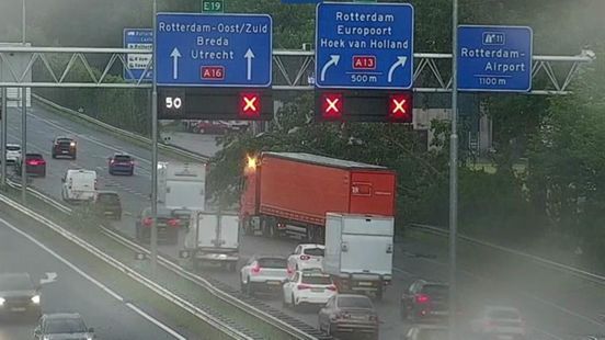 Boom op snelweg door onstuimig weer: rijstroken dicht en uur vertraging Home