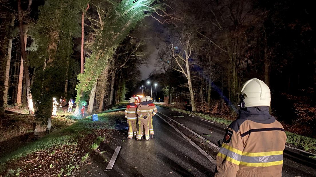 De N344 tussen Deventer en Bathmen werd afgesloten omdat een boom op de weg dreigt te vallen