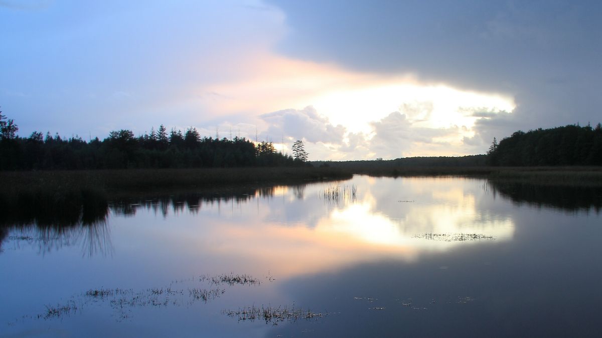 Wat is er dit weekend te doen in Drenthe?