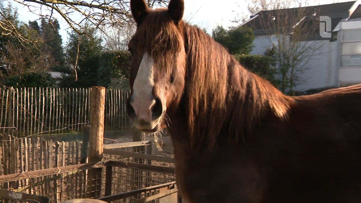Óngerwaeg is bezig met groene pk's in Cadier en Keer
