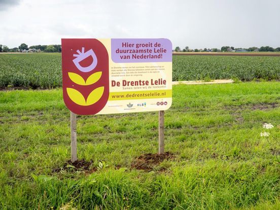 Telers mogen niet meer pronken met slogan 'duurzaamste lelie van Nederland'