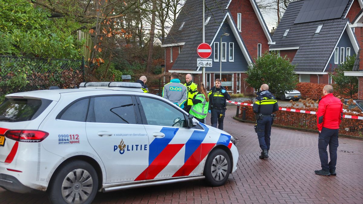 Verdachte van doodsteken vrouw Den Dolder naar Pieter Baan Centrum, Mert P. zelf niet in rechtbank