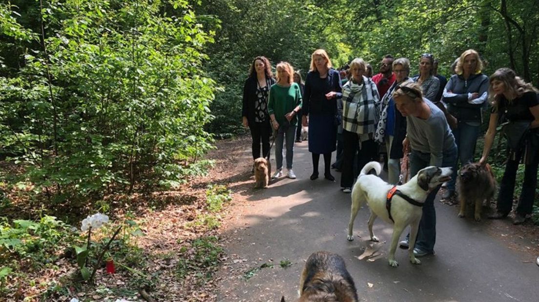 Stille tocht Scheveningse Bosjes | Archieffoto