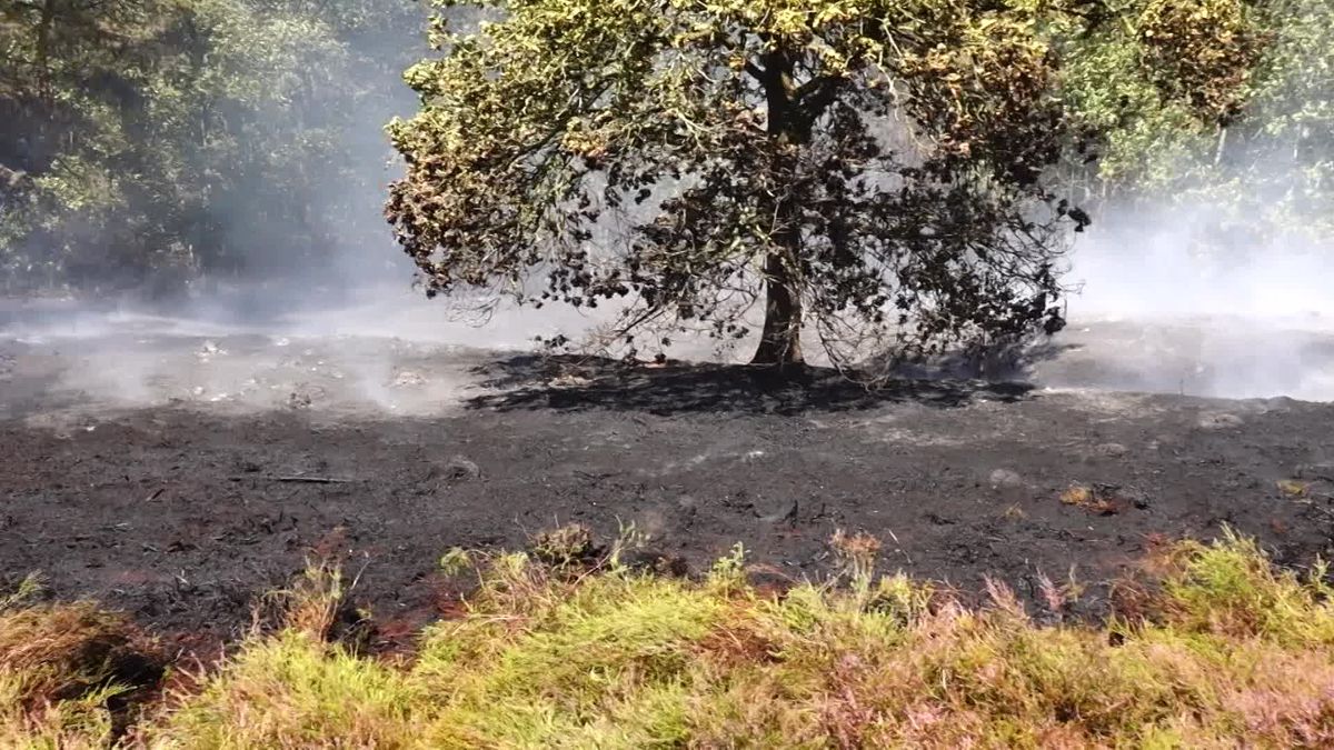 De veiligheidsregio over de brand.