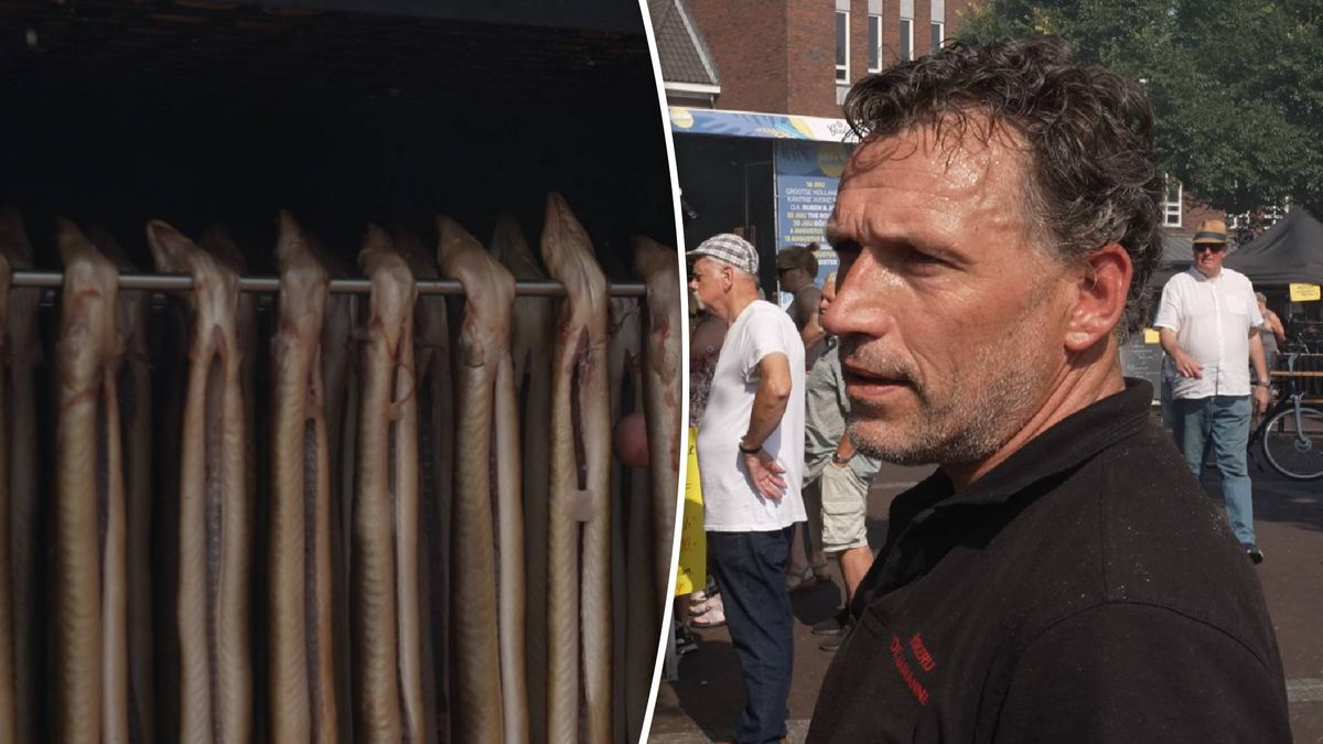 Kees vist naast de prijzen, maar weet wél hoe je de beste paling rookt