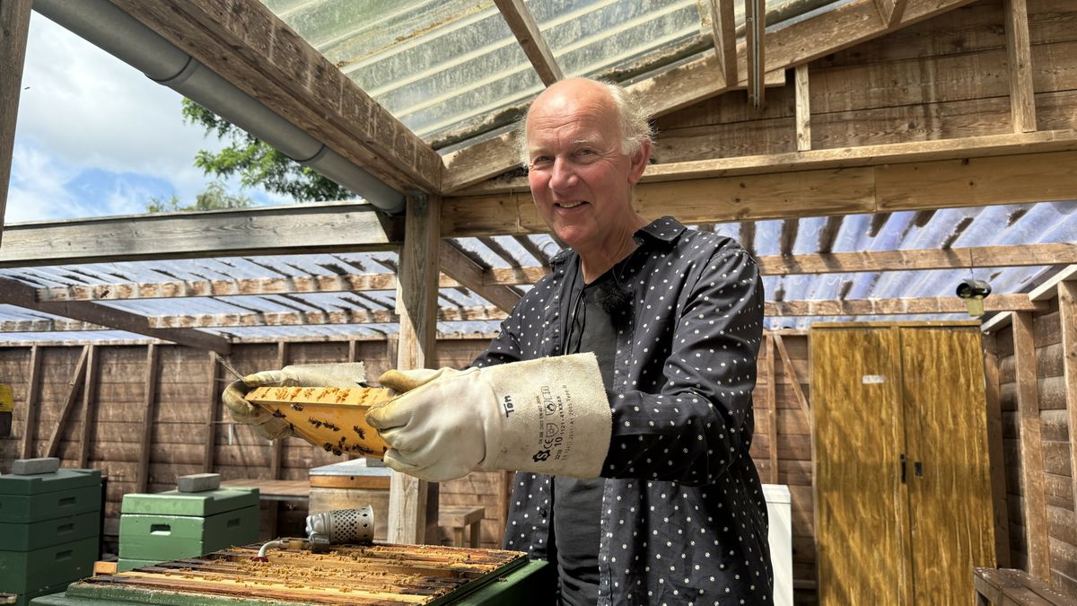 Imkerijdagen in Zuidlaren: bijen onder druk, imkers in opmars