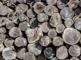 Failliete houthandelaar Twente Wood onder vuur: aangifte van bedrieglijke bankbreuk