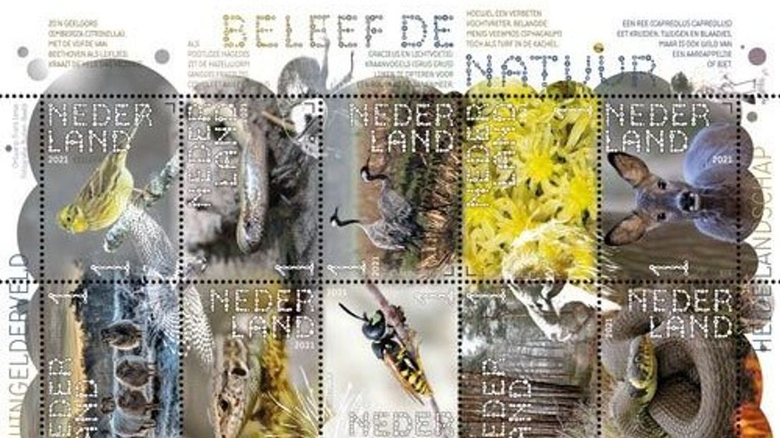 De postzegels besteden aandacht aan het heidelandschap van het Dwingelderveld (Rechten: PostNL)