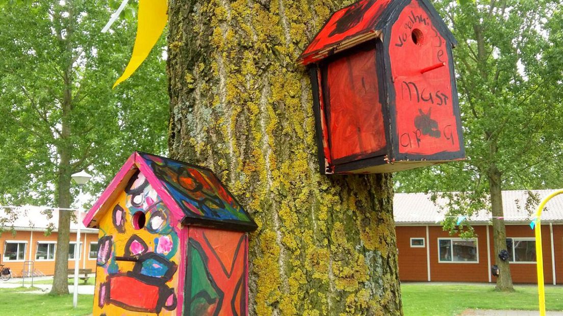 Zo hangen de vrolijk gekleurde huisjes (Rechten: RTV Drenthe / Jasmijn Wijnbergen)