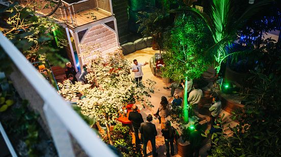 Iedereen kan komen proeven in deze jungle: 'Zoveel planten die we kunnen eten' Nieuws