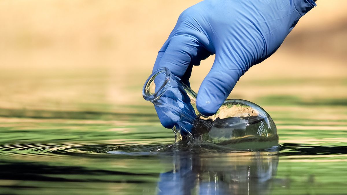 Bacterie in zwemwater bij Terherne: kans op gezondheidsklachten