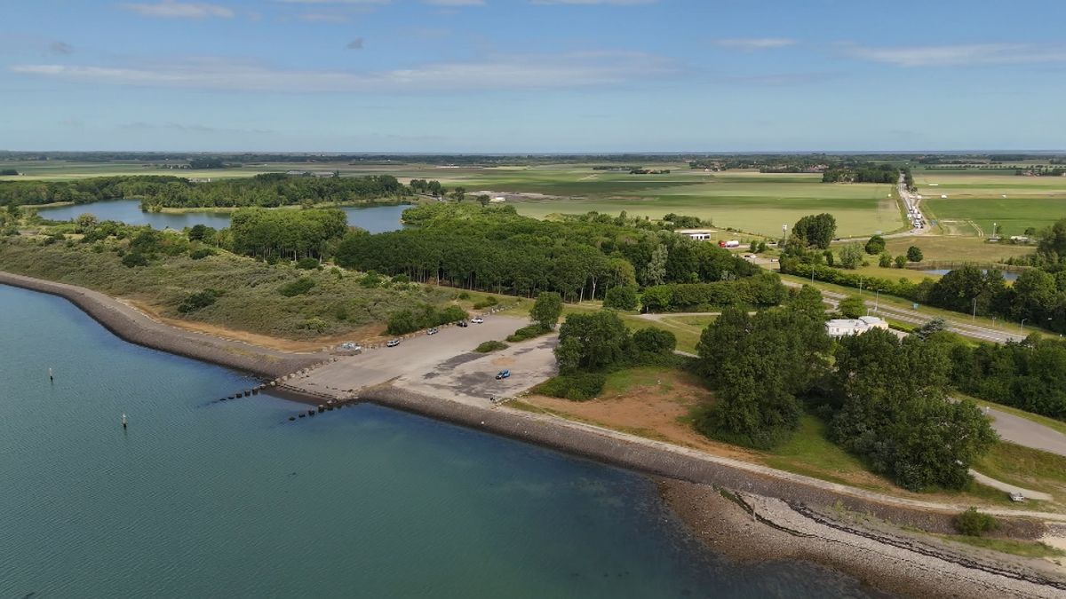 Overheid waarschuwt voor staalslakken, maar op strand Schelphoek liggen ze open en bloot