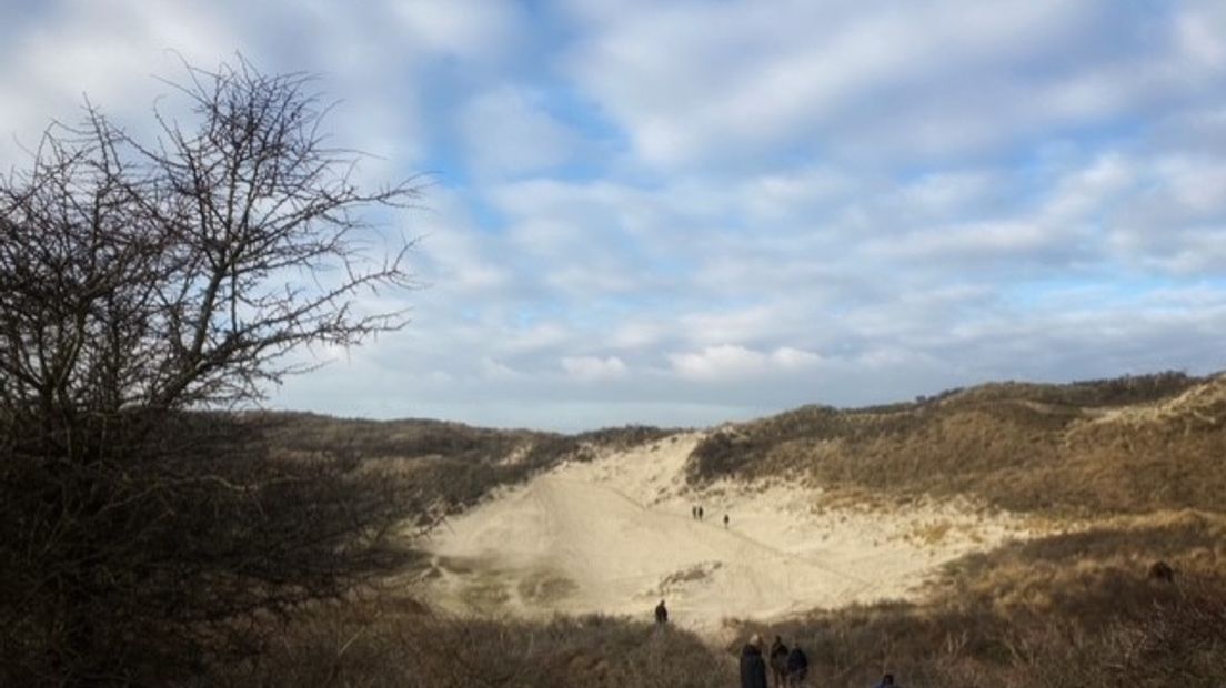 Kop van Schouwen, Meeuwenduinen