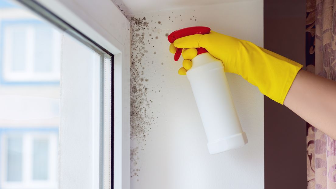 Man moet woning verlaten na veroorzaken stankoverlast in binnenstad Zwolle.