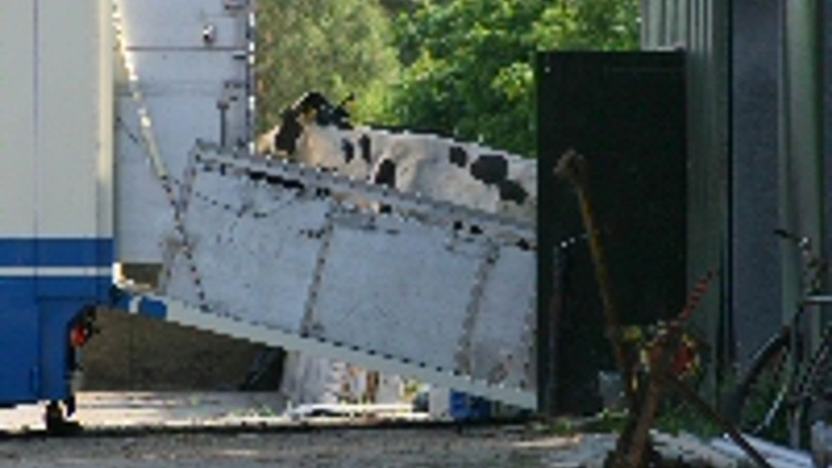 BSE op zorgboerderij in Wapse