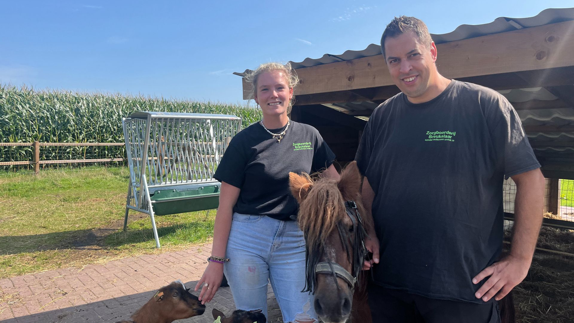 Deze zorgboerderij is een veilige haven voor kwetsbare jongeren