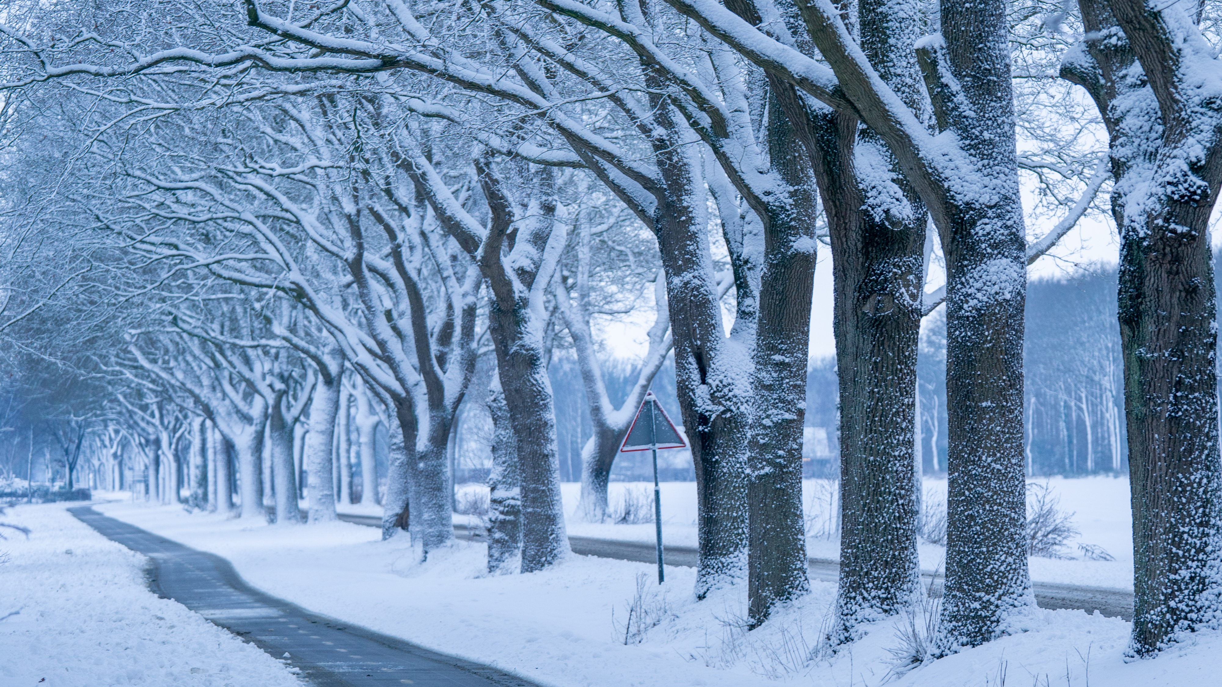 Opnieuw code geel en witte wereld op komst
