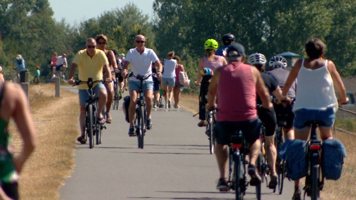 Het is dringen op de Zeedijk bij Nieuwvliet: gezellig of toch storend?