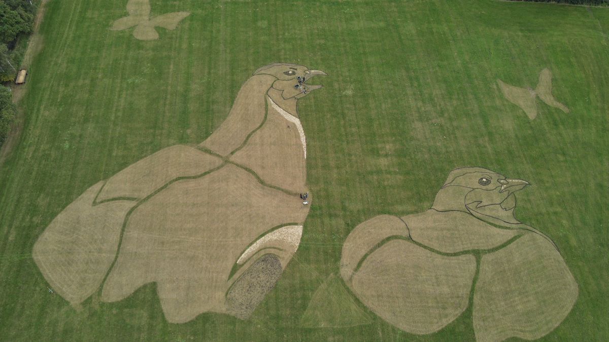 EK wielrennen haalt het creatiefste in Drenthe naar boven