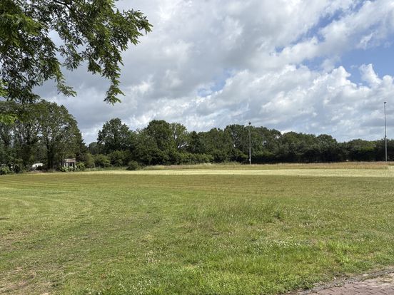 Toekomstige bewoners willen samen dertien huizen bouwen in Anloo