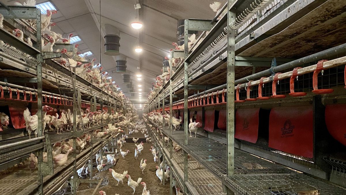 Mestverwerker Witteveen vecht dwangsom van 18.000 euro aan