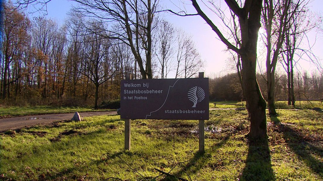 Goes vindt het tijd voor een opknapbeurt voor het Poelbos