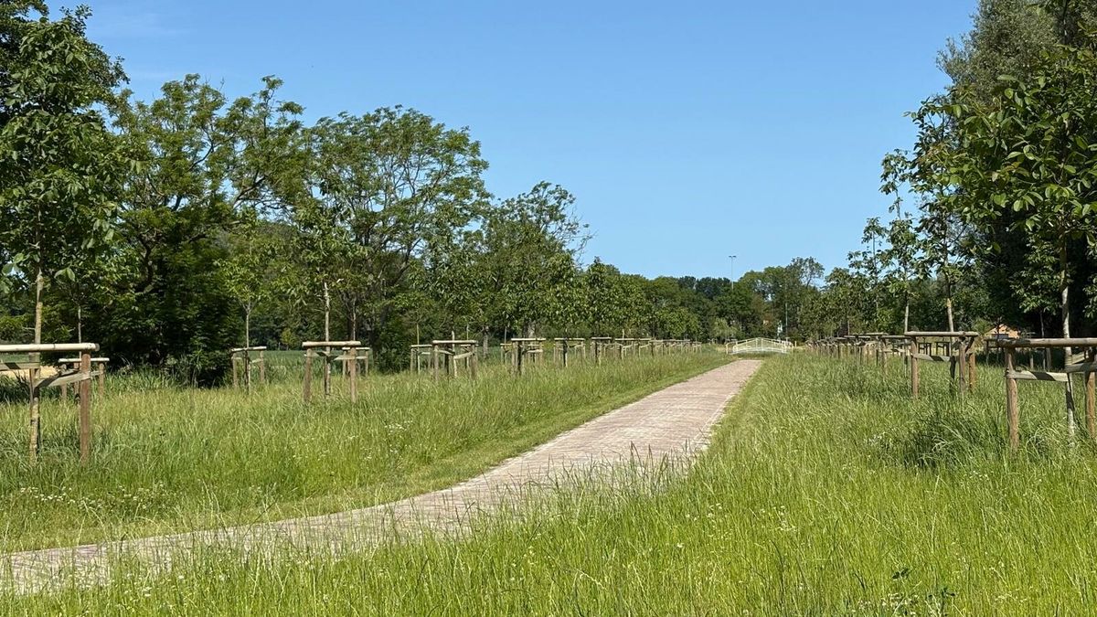 Landgoed in Bitgummole nieuw leven ingeblazen: 