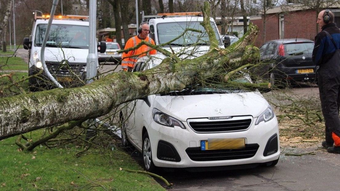 In Emmen is een boom op een auto gevallen (Rechten: Van Oost Media)