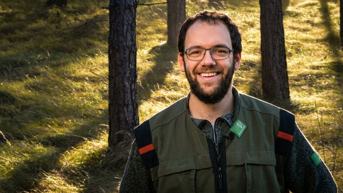 Boswachter over duinbrand Ouddorp: ‘Binnen no time trok het vuur door de duinen’