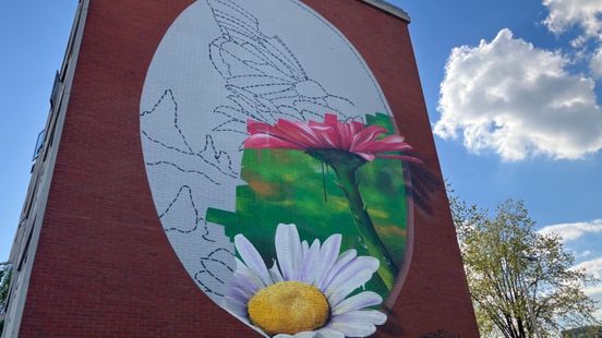Kunstenaar JanIsDeMan wacht met afmaken muurschildering tot toeslagenaffaire is afgehandeld Home