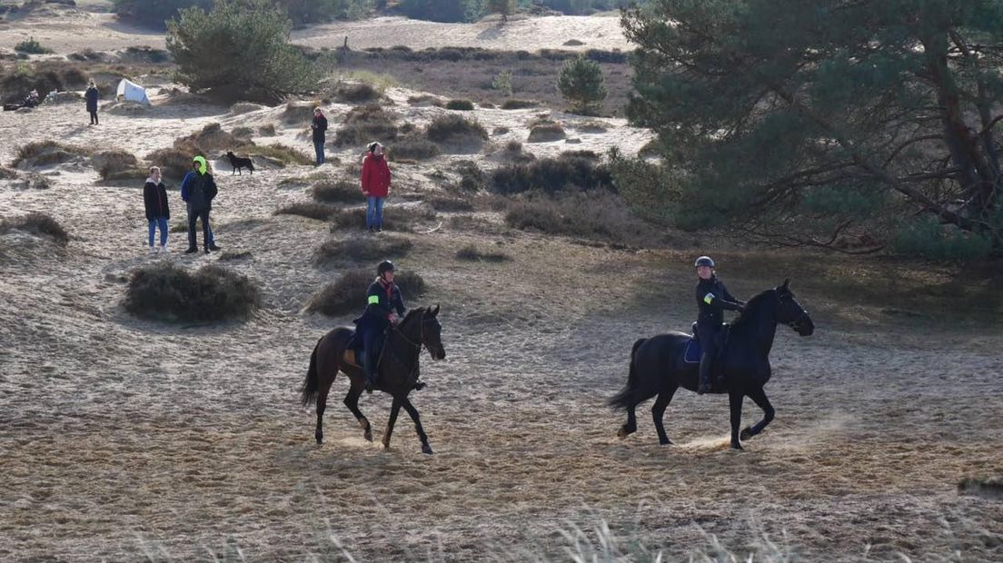 Ruiters en hun paarden genieten op de Kale Duinen (Rechten: RTV Drenthe)