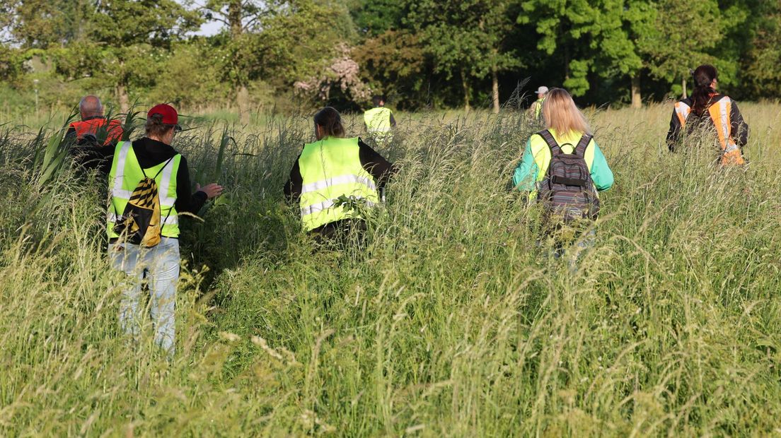 Een groep van tachtig tot negentig vrijwilligers zocht naar de vermiste Taco