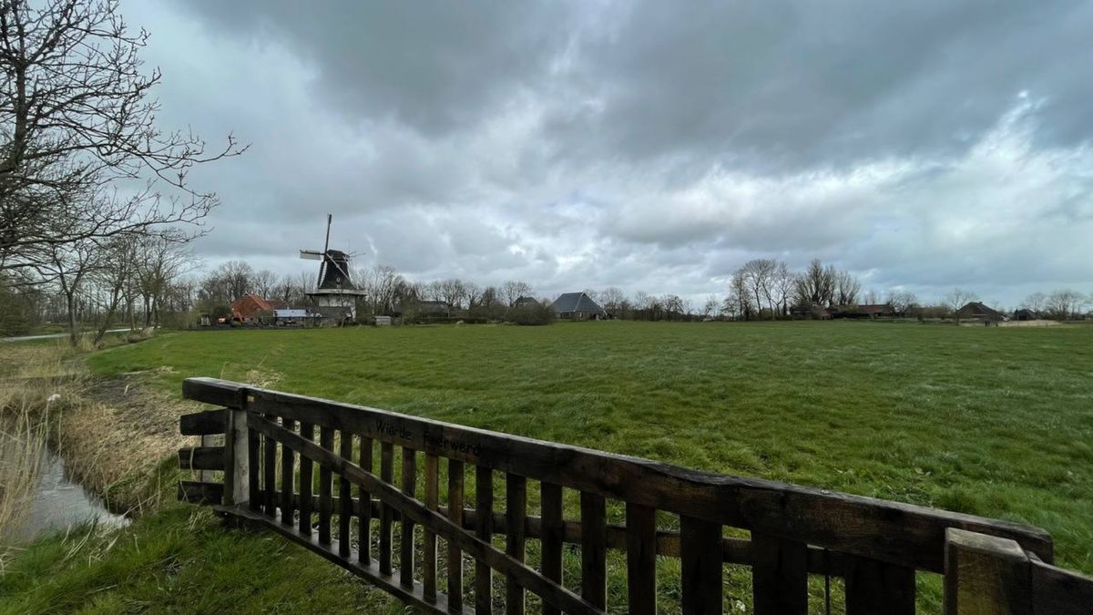 Inwoners Feerwerd over plannen Het Groninger Landschap: ‘Laat onze wierde met rust’