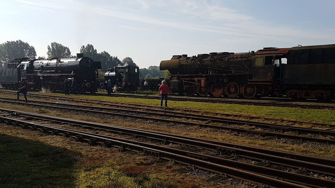 Stralend weer maakte het plaatje compleet op zondag (Rechten: Elisa Hummel)